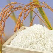 Kappo Ryokan Irohatei Image 5, Tokamachi, Japan