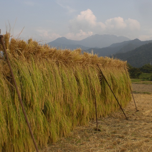 Kappo Ryokan Irohatei Main Image Kappo Ryokan Irohatei, Tokamachi