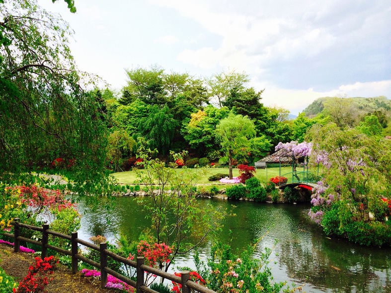 【観光】四季の里緑水苑・・・約3万坪に及ぶ自然型池泉回遊式の花庭園。四季折々の花が楽しめます。