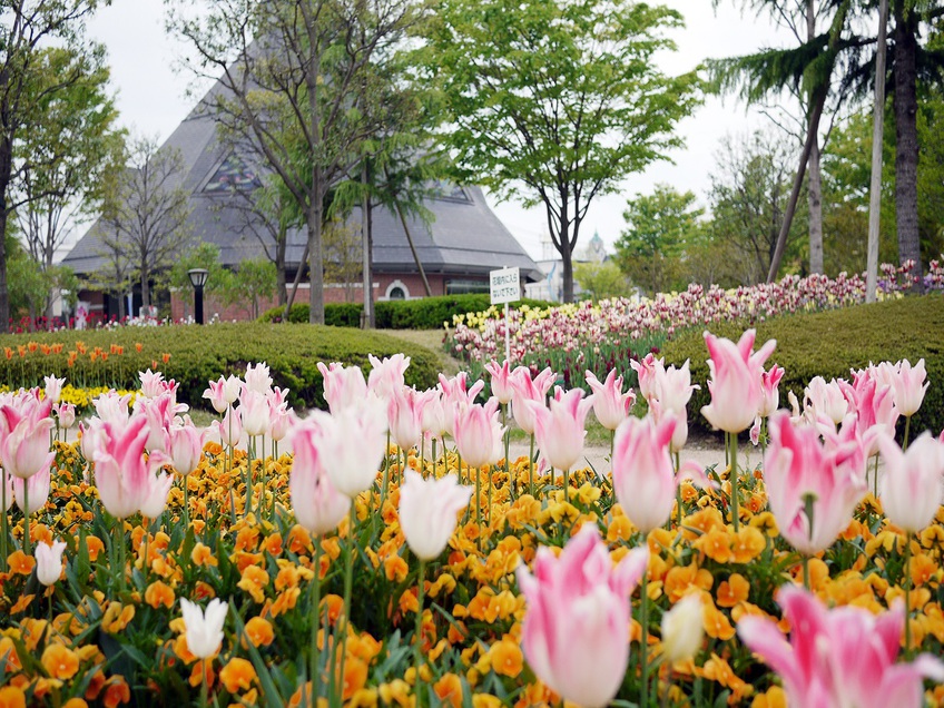 【観光】21世紀記念公園麓山の杜・・・「花・緑・水」をテーマにした市民憩いの場。お散歩にぴったり。