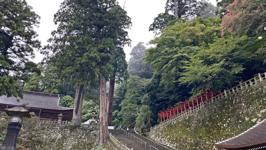 *【清水寺】杉木立の静寂の中、1400年もの歴史を今もなお残っています。