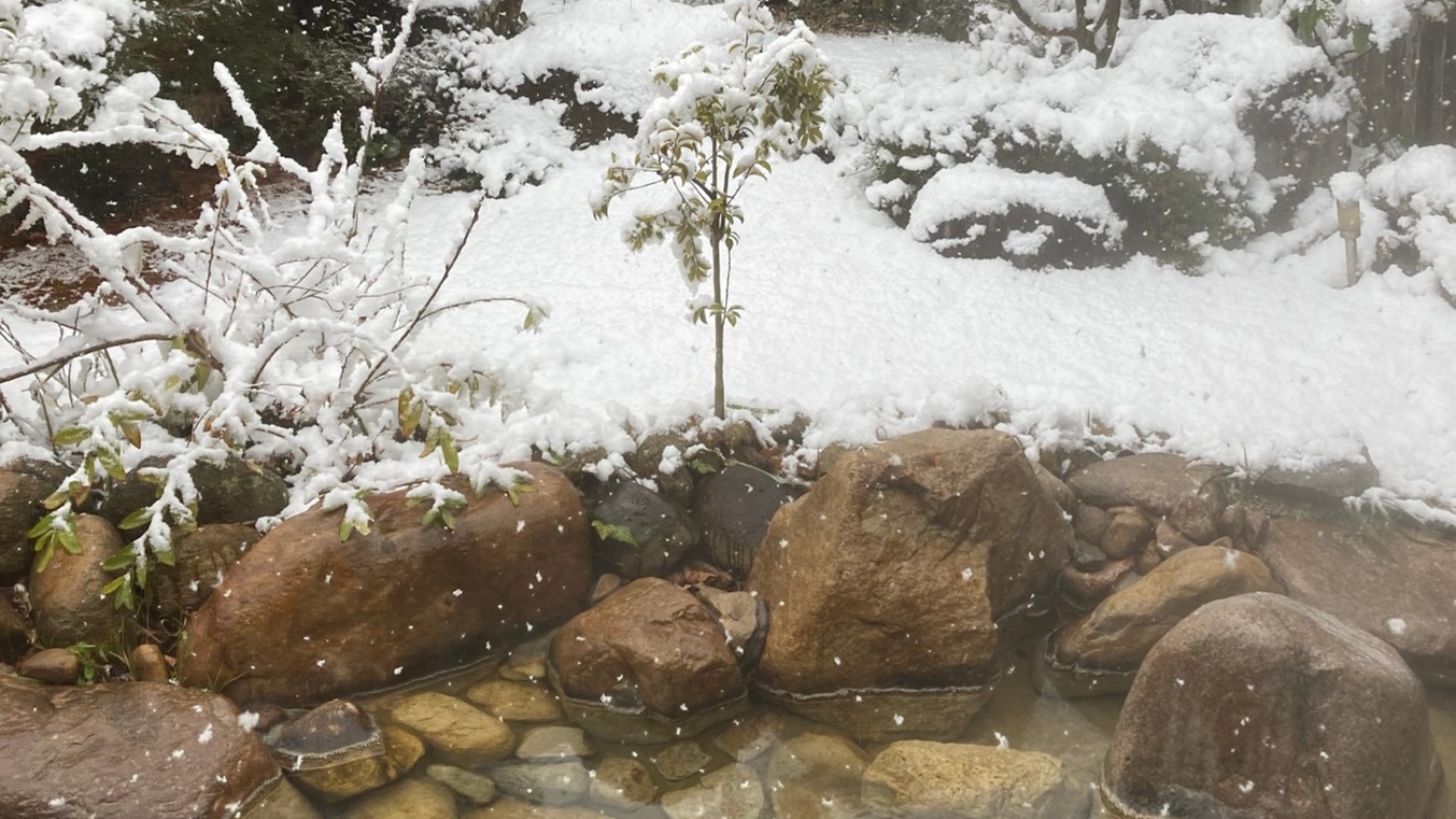 *露天風呂/雪景色のタイミングに出会えたらラッキー！真っ白な銀世界と、天然かけ流しのさぎの湯温泉