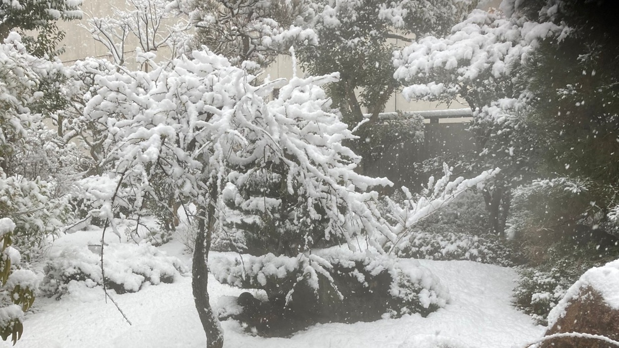 *露天風呂/露天風呂からの雪景色。冬は真っ白な雪に囲まれ、いつもとは違った雰囲気も・・・。