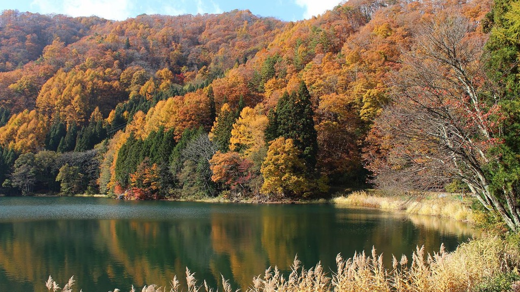 *周辺／中綱湖の秋。美しい紅葉が湖に映えます。