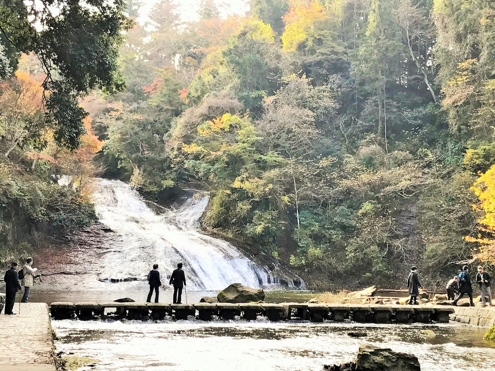 「粟又の滝」を眺めながらの散策がお楽しみ頂けます。