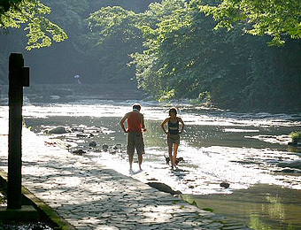 養老渓谷を散策しよう。