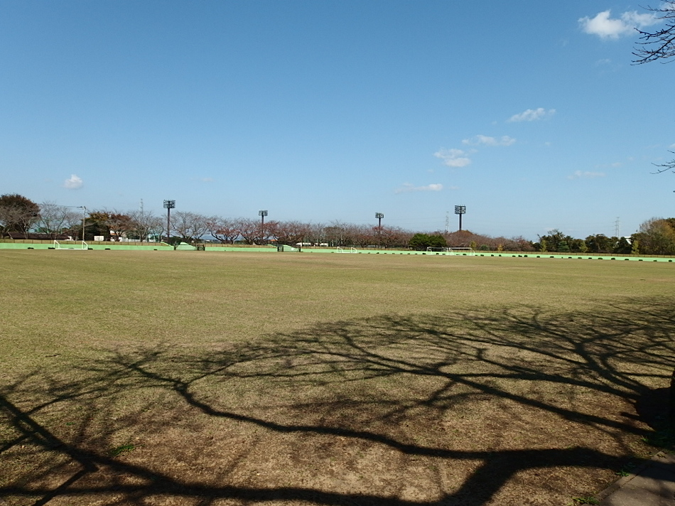 阿漕浦運動公園のグラウンド