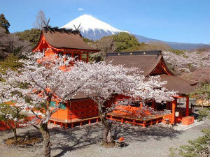 観光：富士宮は自然いっぱい！