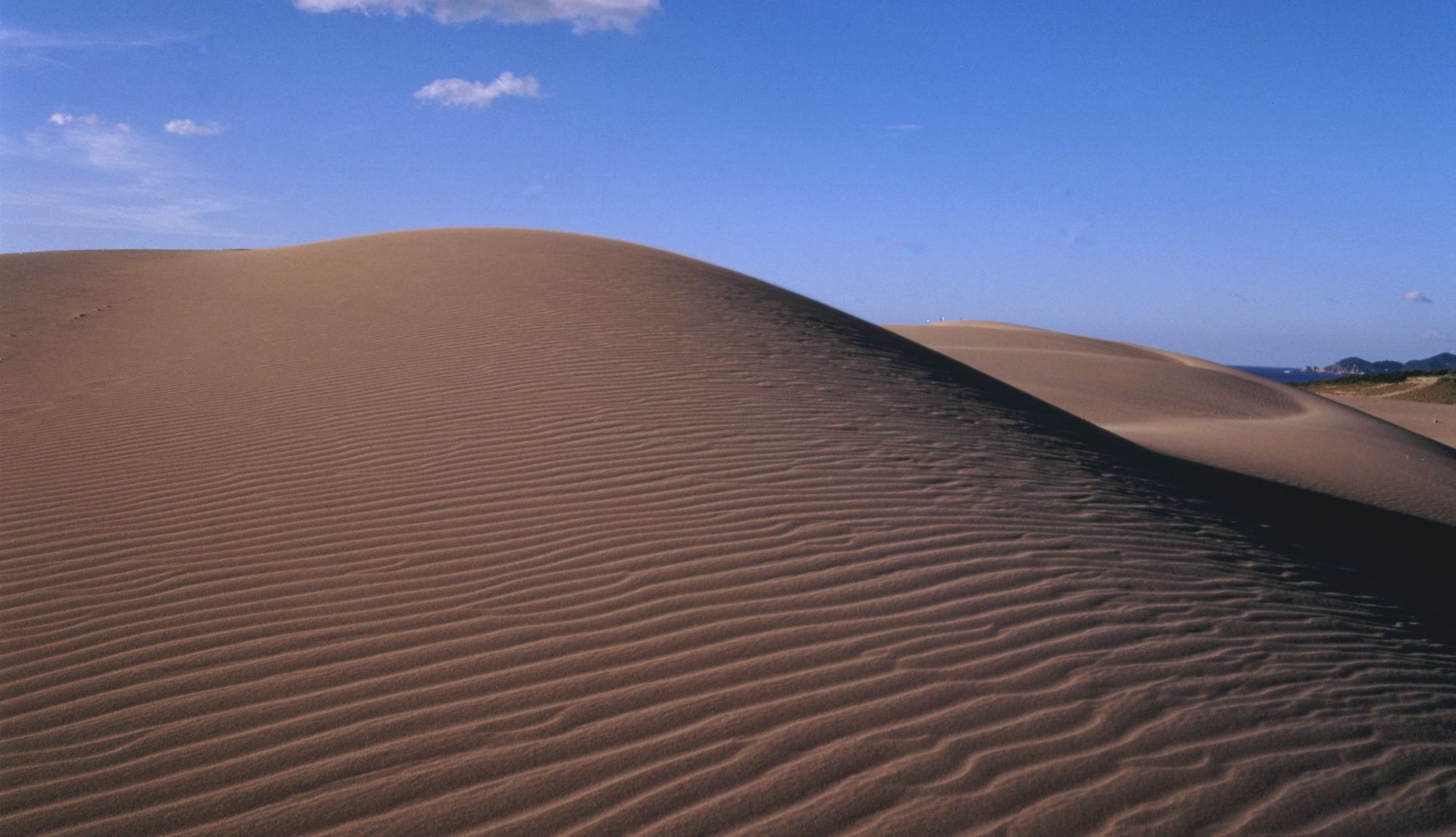 鳥取砂丘。自然によって造られる、風紋が美しい！
