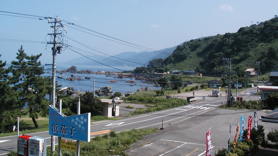 Echizen Hamanasu in the Heart of Fukui, Japan: Reviews on Echizen Hamanasu