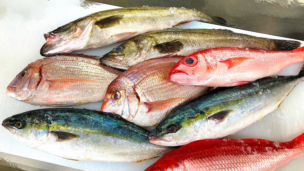 九十九里の新鮮な地魚