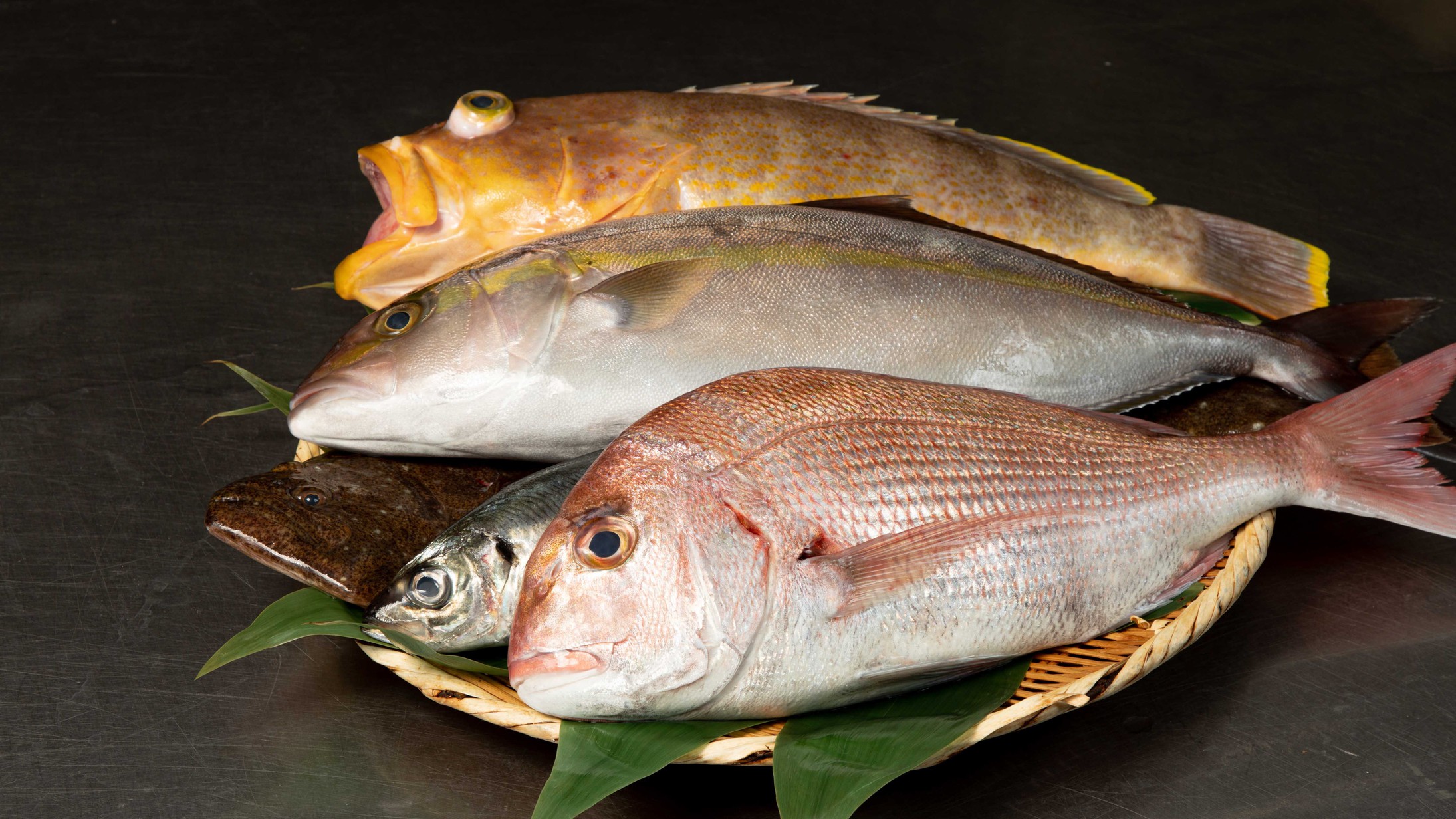 漁港直送の鮮魚