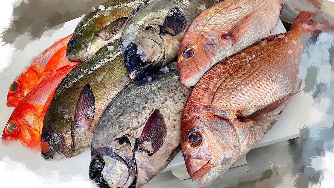 九十九里の新鮮な地魚