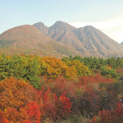 秋の紅葉