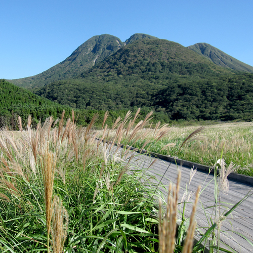 豊かな自然に恵まれた九重。四季折々の景色がお愉しみいただけます。