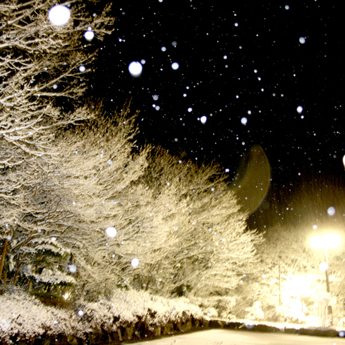 冬は幻想的な雪景色がご覧いただけますよ。