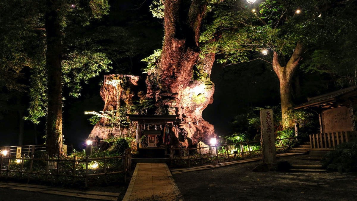 【来宮神社】パワースポットの大楠ライトアップは毎日23時まで！当館から徒歩3分の好立地！