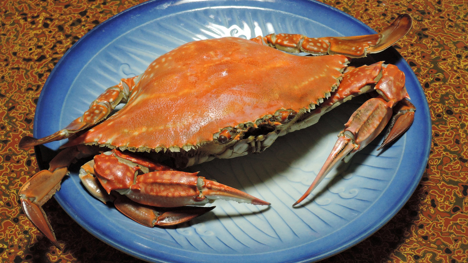 Ichifukusou Image 1, Tara, Japan