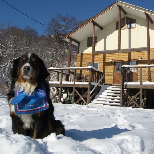 冬コテージ外観