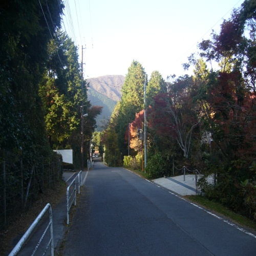 旅館前の道。金時山方面