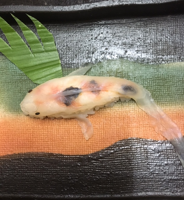 フグ寿司錦鯉