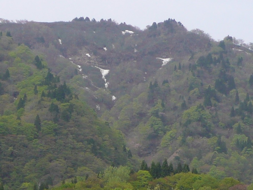 新緑の氷ノ山