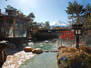 Fuji Midorino Kyukamura Main Image Fuji Midorino Kyukamura, Fujikawaguchiko