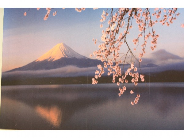 Fuji Midorino Kyukamura Image 5, Fujikawaguchiko, Japan