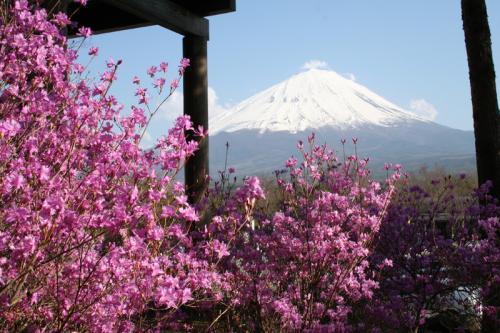 鳴沢村富士山
