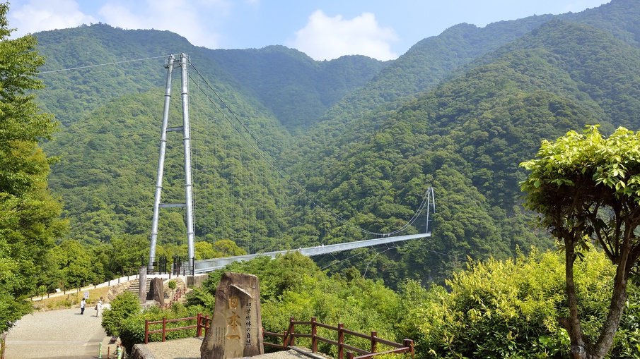 【照葉大吊橋】照葉樹林を守るために架けられた“;日本最大級”;の高さを誇る大吊橋です。