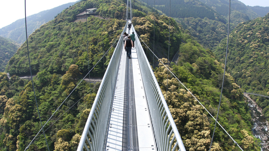 【照葉大吊橋】照葉樹林を守るために架けられた“;日本最大級”;の高さを誇る大吊橋です。