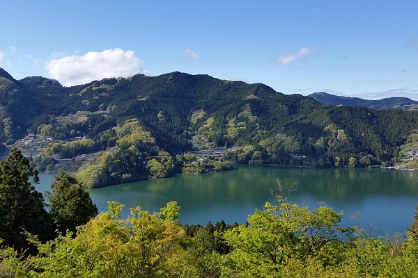 冬桜の宿 神泉 冬桜の宿神泉 をもっと詳しくご案内 楽天トラベル