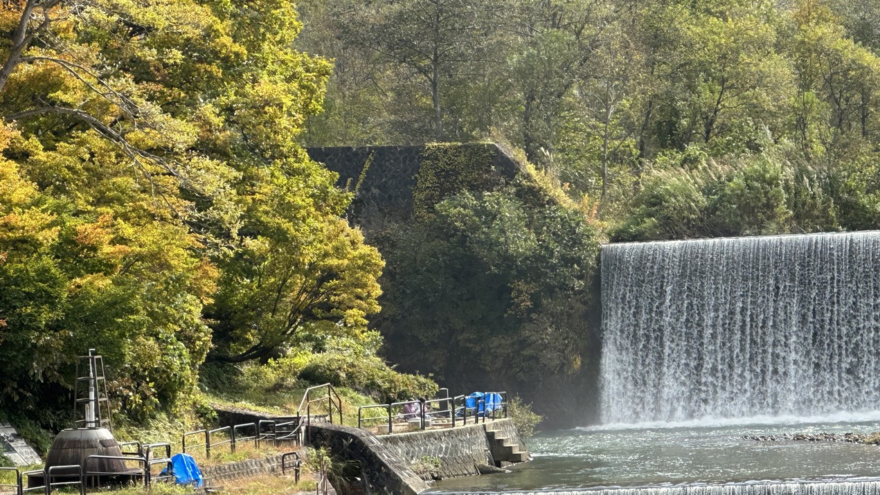 紅葉が眩しい秋の源泉公園