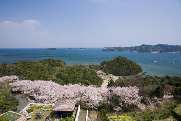 桜の見頃は例年、3月下旬〜4月初旬