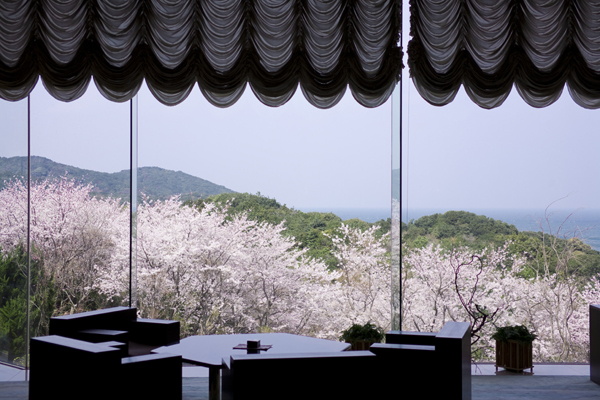 展望ラウンジから眺める海と桜の絶景