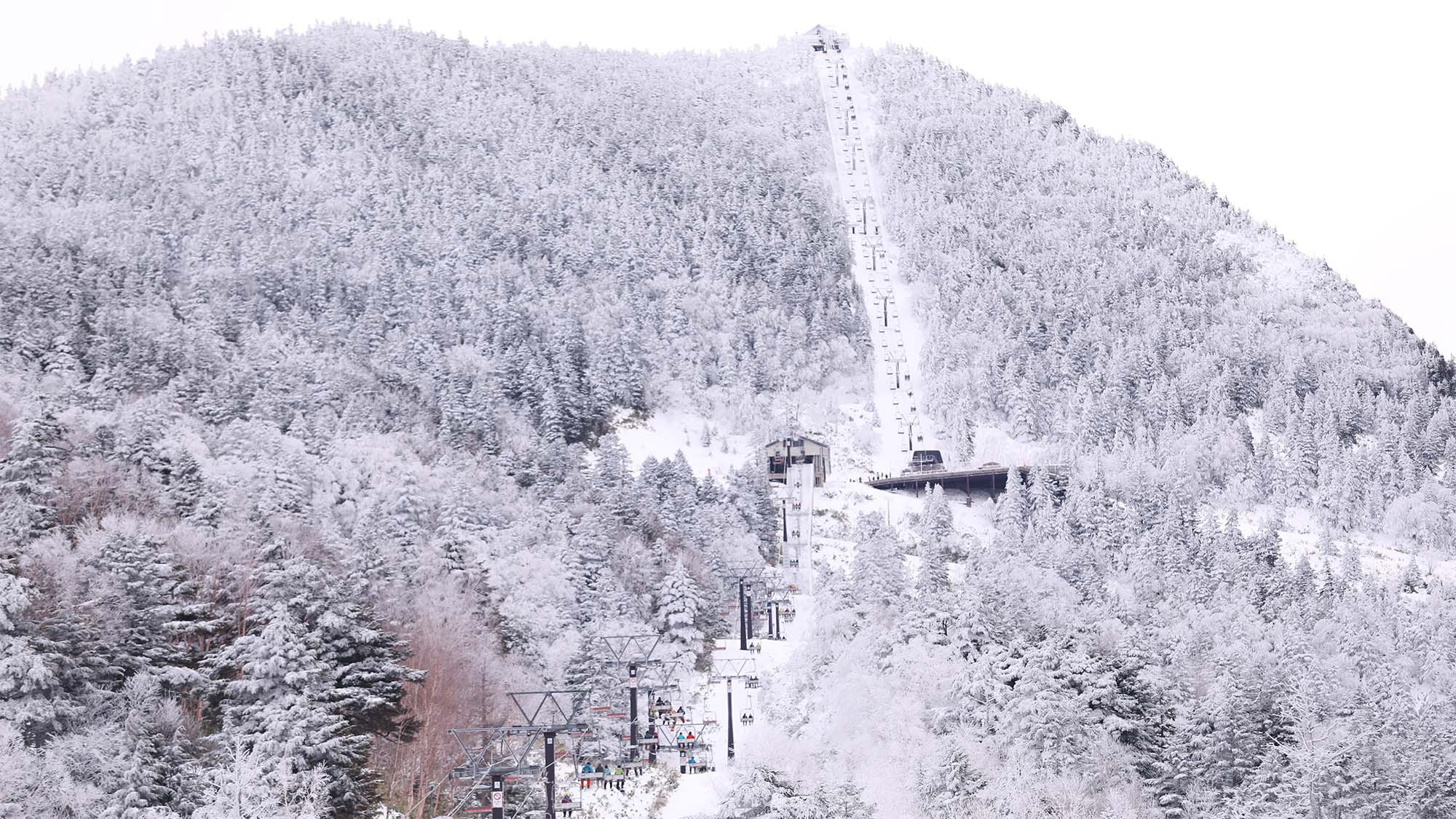 ・【景観】上質な雪と樹氷が連なる絶景の横手山