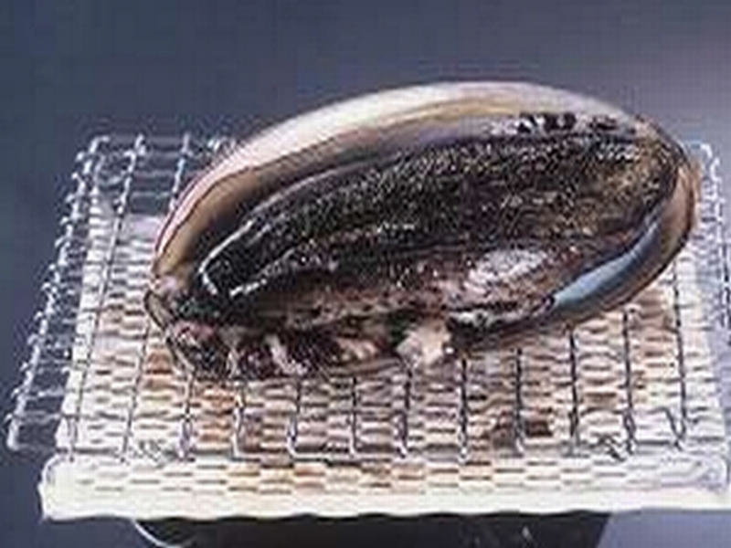 Ryokan Amimoto Main Image Ryokan Amimoto, Iki