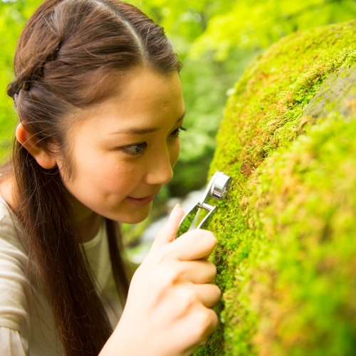 【苔さんぽ】