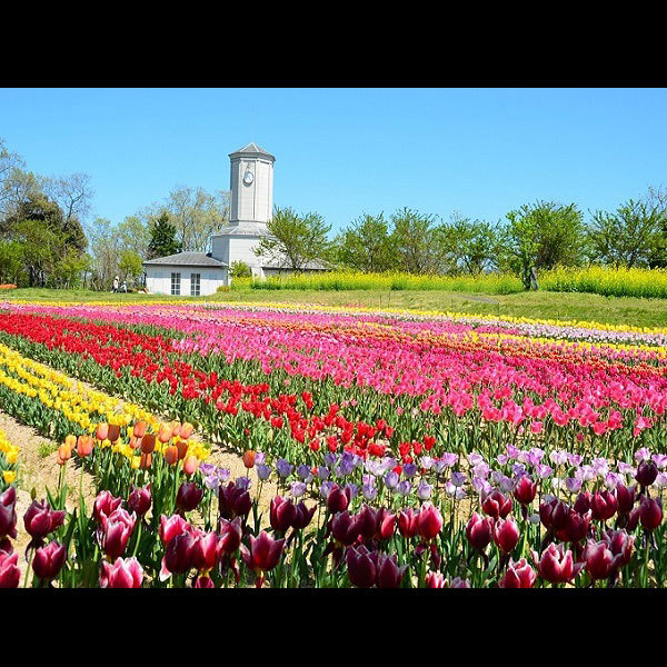 Minshuku Fukuda Main Image Minshuku Fukuda, Kyotango