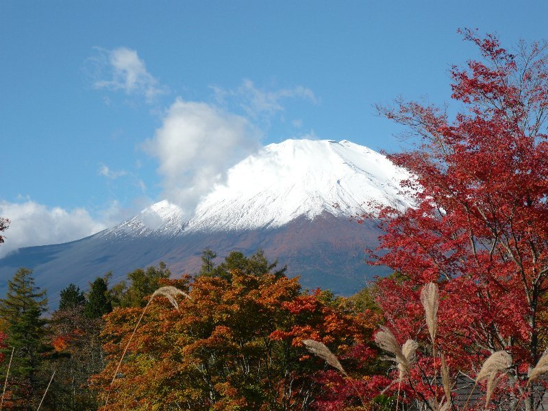 富士山と紅葉