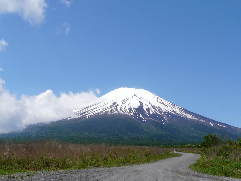 ススキと富士山