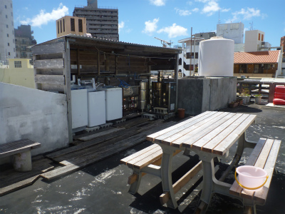 柏屋屋上