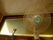 【2階男女ＭＩＸ相部屋】10人で貸し切りでのご利用もでいます