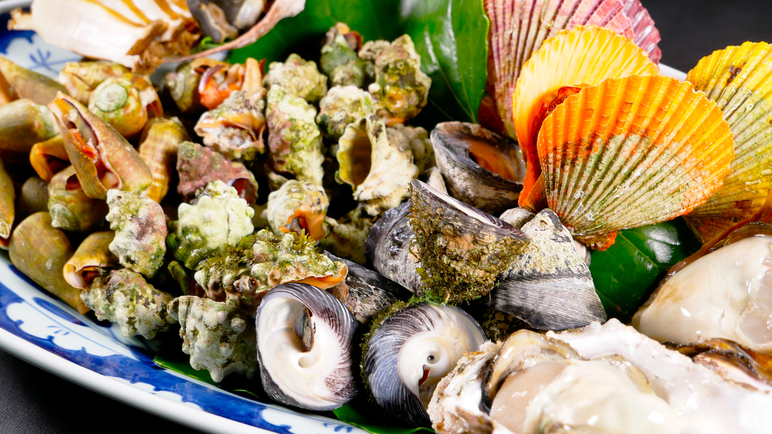北浦港で獲れたばかりの貝。滅多に食べれない珍しいものも。酒の肴に最高！