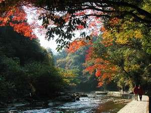 This photo about Farm Inn Ichihara shared on HyHotel.com