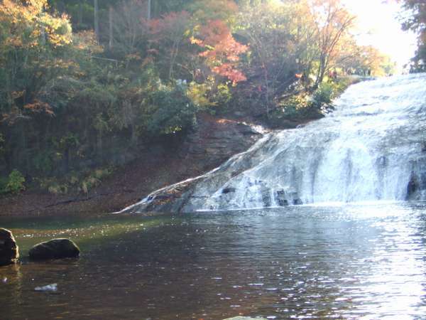 This photo about Farm Inn Ichihara shared on HyHotel.com