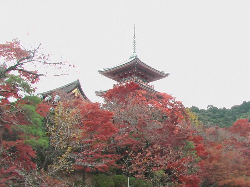 紅葉の清水寺