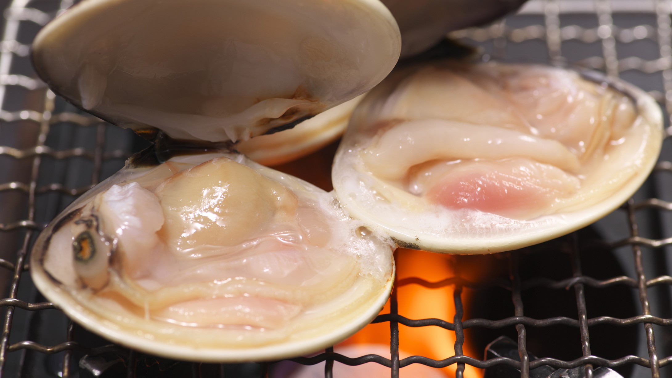 料理一例
