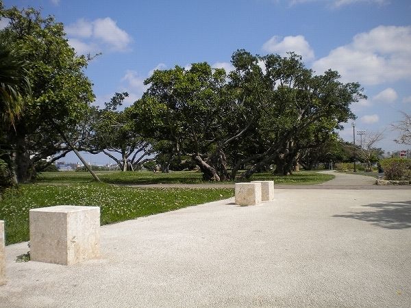 新都心公園の入口周辺