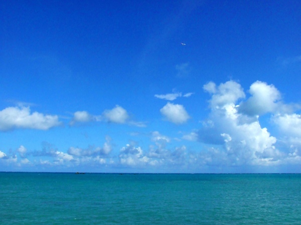 沖縄へお越しならばやっぱり一度は海をご覧下さい